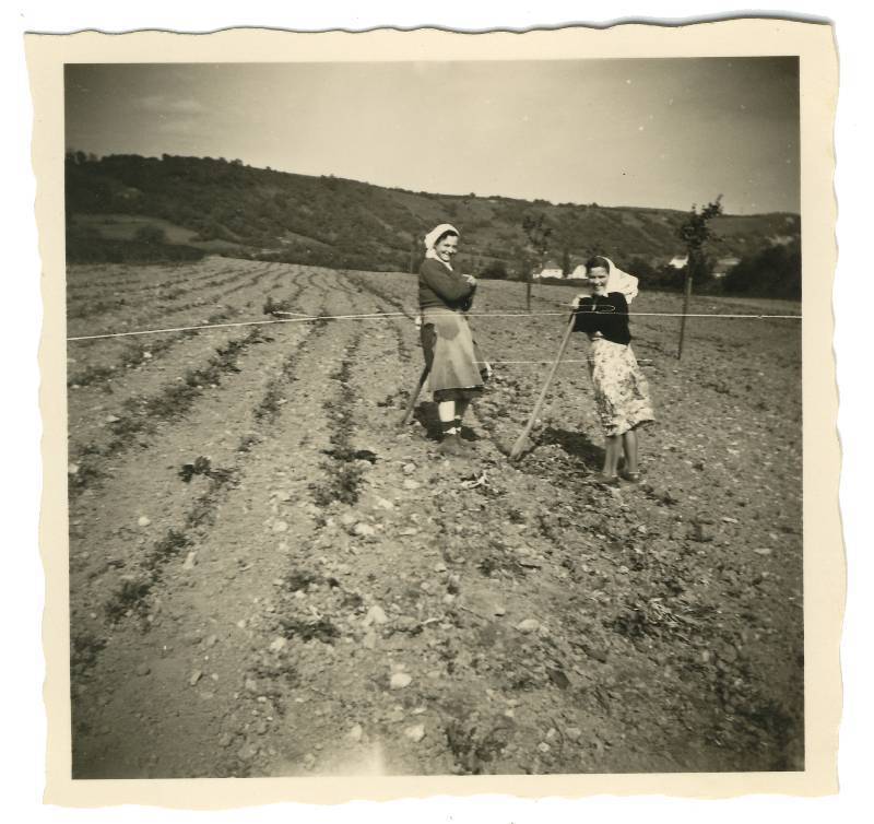 50er Jahre Bild Nr.038